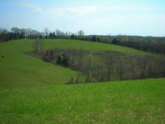 Property Photo 29