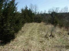 Property Photo 26