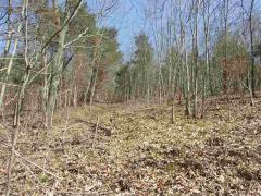 Property Photo 27