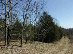 Property Photo 28