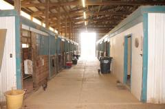 Beautiful horse stalls with indoor and outdoor entrance and exit to paddock. Horse wash Lounge area with kitchen for training meetings.