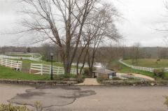 Plenty of pasture area with pond makes for great grazing and leisure riding.
