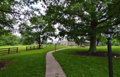 Property Photo 42