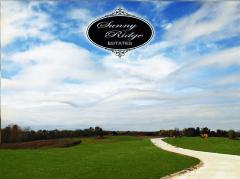 New Development Located Just off Green Rd and Dixie Highway in Kenton County! Beautiful Scenic Views over Green Rd Accessing the Development of Picturesque Horse Farms & Rolling Farm Land! The Best of Both Worlds - Large Estate Lots 1-5 Acres - Restri