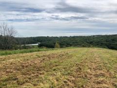 Potential build spot with views of the park dam.