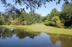 Property Photo 33