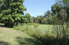 Property Photo 42