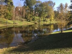Property Photo 38