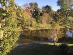 Property Photo 39