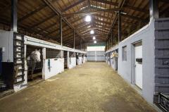 Property Photo 46